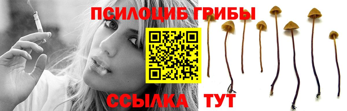 где можно купить   Вход с VPN  Конаково  Галлюциногенные грибы Psilocybine cubensis  Галлюциногенные грибы прущие грибы 